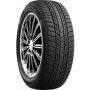 Легковая шина Roadstone WinGuard ice Plus 245/45 R19 102T